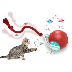 Interactive Cat Toys Ball for Indoor Automatic Fast Rolling on Carpet Chirping(1